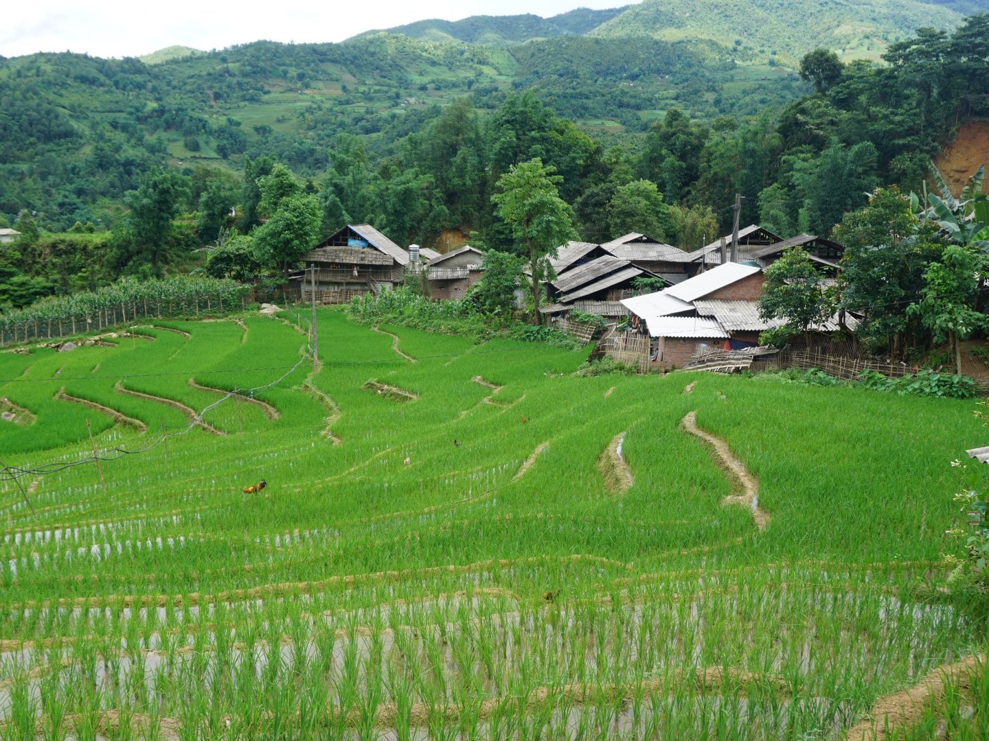 Tour demo 1 sapa-1-day-hideaway-motorbike-tour-2